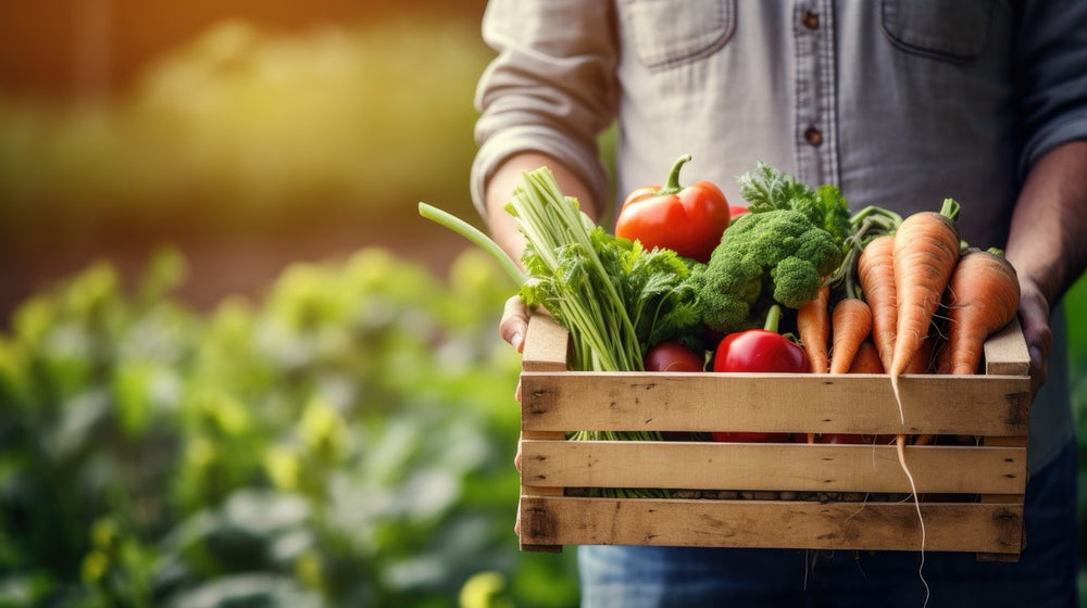 farmer holding vegetables in wooden crate in a garden 