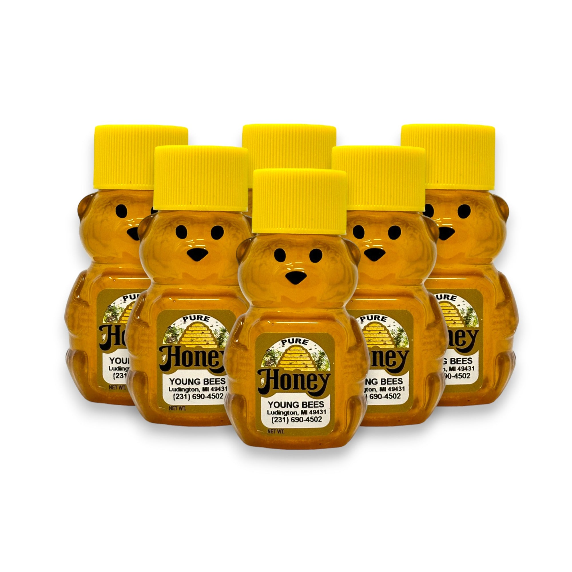 Pure Raw Michigan Honey - Mini 2oz Honey Bear.